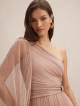 Samara One Shoulder Plisse Maxi Dress Forever New