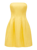 Shayla Strapless Mini Dress
