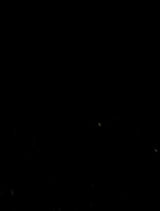 Evelyn Faux Fur Wrap Forever New