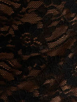 Dylan Lace Bardot Top Forever New