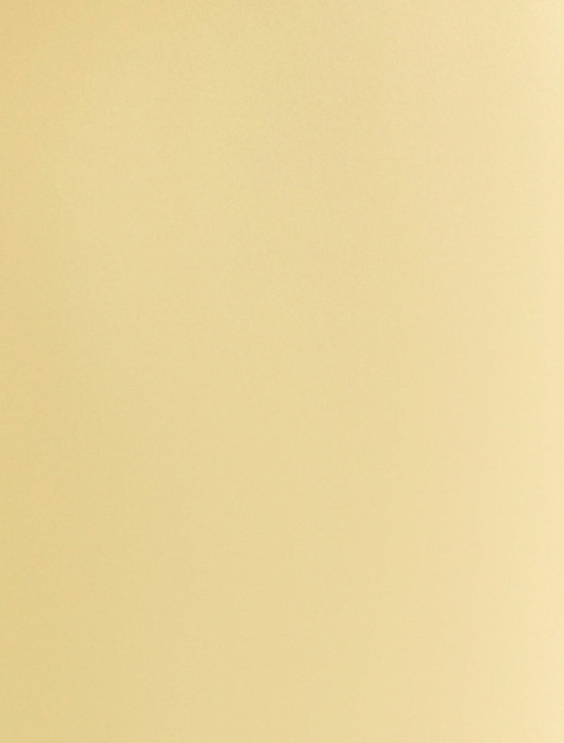 Evelyn Petite Elastic Wide Leg Pants Forever New