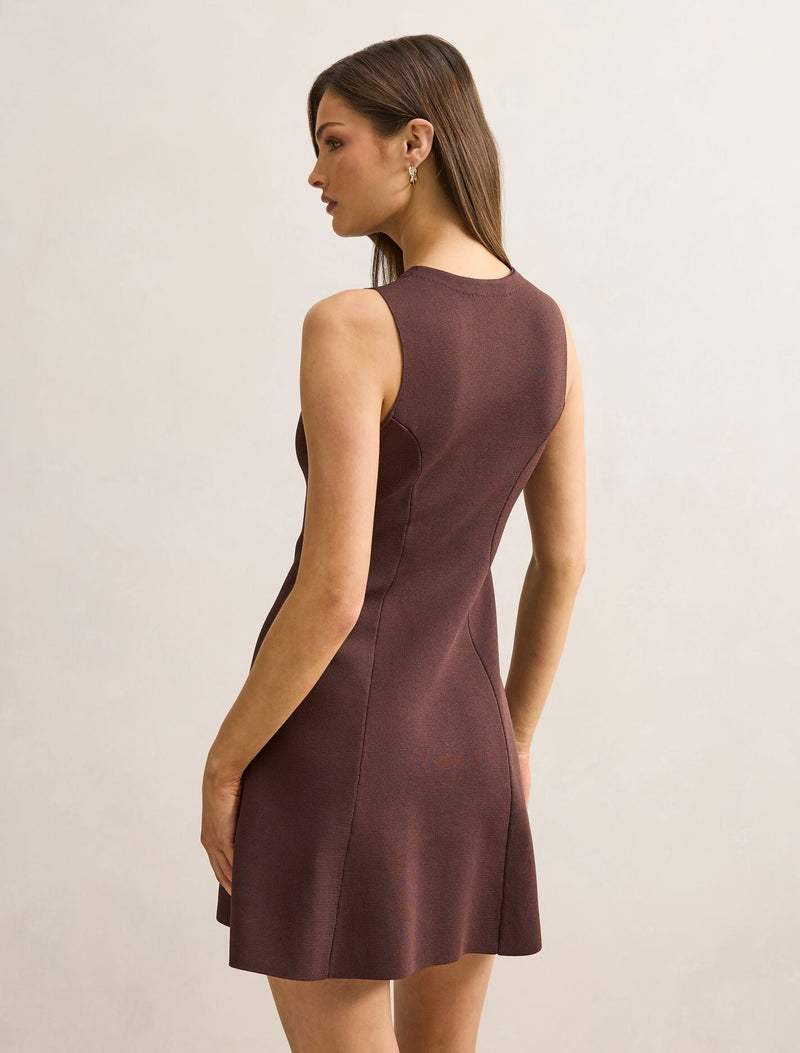 Lucienne Fit And Flare Mini Dress Chocolate