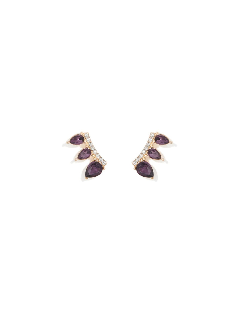 Pia Pretty Climber Earrings Forever New