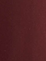 Marissa Wide Leg Pants Forever New