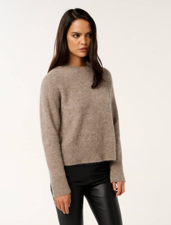 Ari Fluffy Crew Neck Sweater Forever New