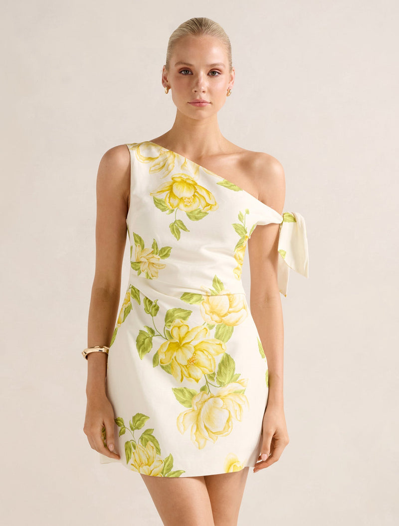 giada mini dress x REVOLVE Giada Mini Dress